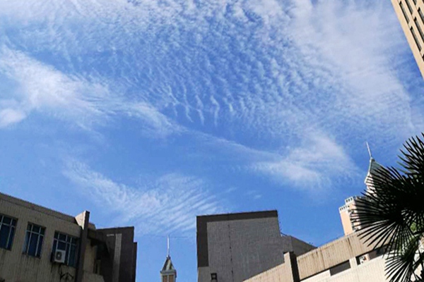 微塑料污染與氣候變暖風(fēng)險(xiǎn)疊加，升級(jí)全球環(huán)境風(fēng)險(xiǎn)