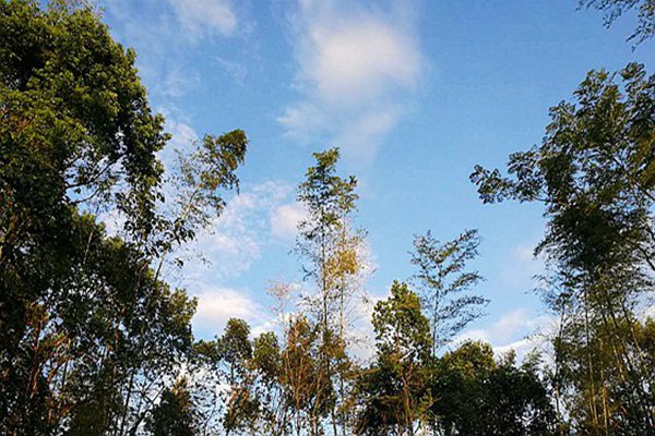 包河區(qū)生態(tài)環(huán)境分局：藍(lán)天不是等出來(lái)的，是干出來(lái)的