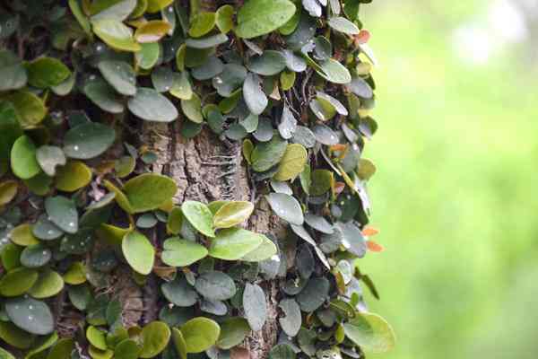 全國已建成“兩級、三類、一清單”的生態環境分區管控體系 