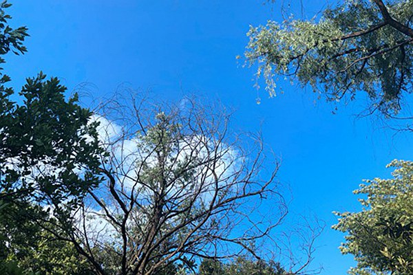 烏魯木齊道路積塵治理有妙招：動態監測 聯合督導，助力空氣質量改善