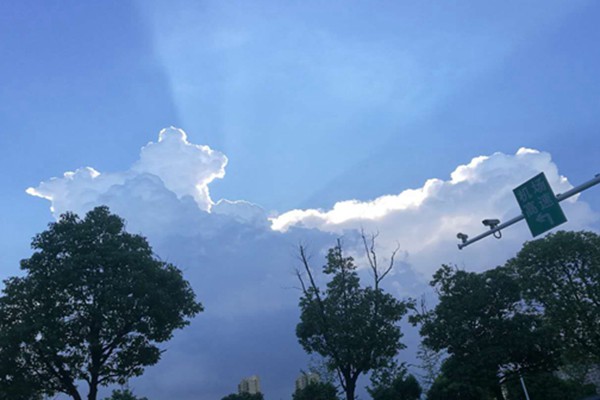 安徽臭氧防控的科技逆襲：走航監測精準狙擊，污染天數驟降近三成！