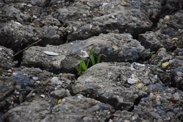 和田地區全域開展危廢規范化評估 守護生態環境安全