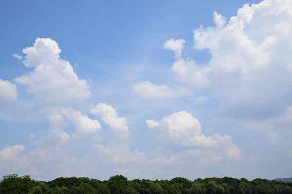 精準“削峰”戰臭氧，全力守護“瓷都藍”